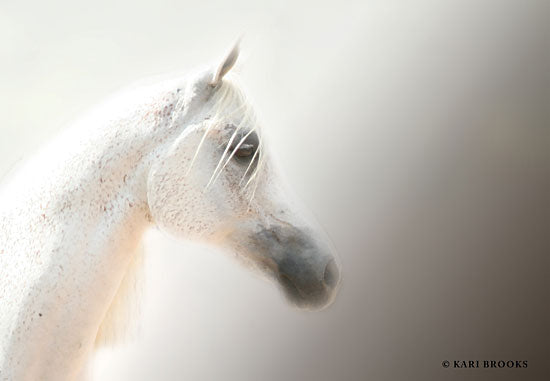 Kari Brooks KARI103 - Flea-Bitten I - 18x12 Photography, Horse, White Horse, Portrait from Penny Lane