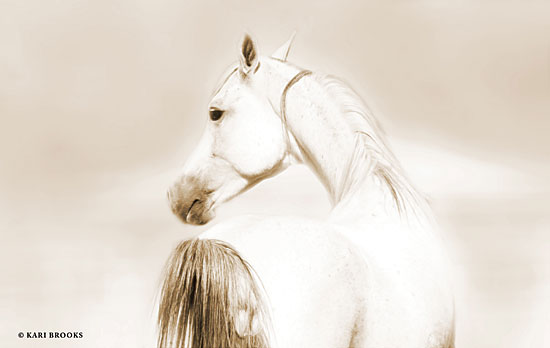 Kari Brooks KARI104 - Dash II - 18x12 Photography, Horse, White Horse, Portrait from Penny Lane