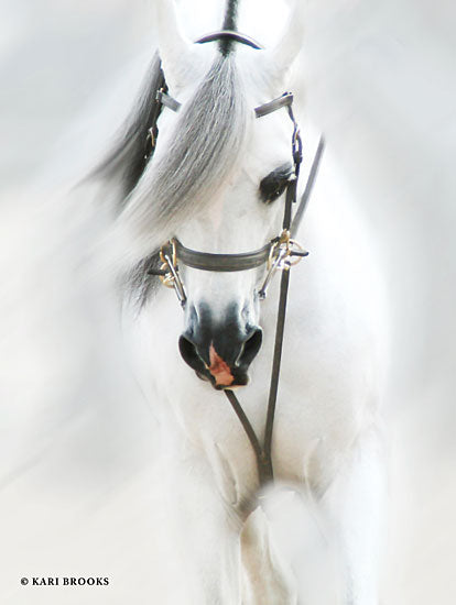 Kari Brooks KARI105 - Dream Horse - 12x16 Photography, Horse, White Horse, Portrait from Penny Lane
