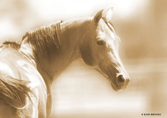 Kari Brooks KARI108 - Rose I Sepia - 18x12 Photography, Sepia, Horse, Portrait from Penny Lane