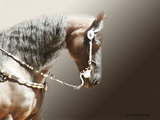 Kari Brooks KARI110 - Black & Silver - 16x12 Photography, Horse, Brown Horse, Portrait from Penny Lane