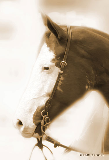 Kari Brooks KARI120 - KARI120 - Sepia Dream - 12x18 Photography, Horse, Sepia from Penny Lane