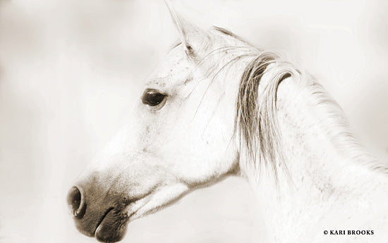 Kari Brooks KARI126 - KARI126 - Dash IV - 18x12 Horse, White Horse, Photography, Portrait from Penny Lane