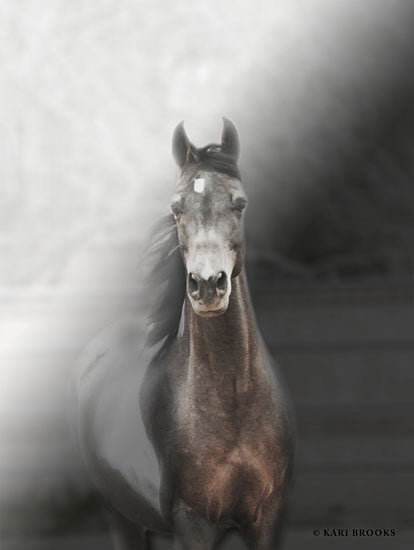 Kari Brooks KARI133 - KARI133 - Free Color Cookie - 12x16 Modern, Rustic, Portrait, Horse from Penny Lane