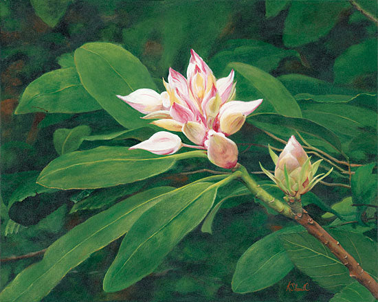 Kate Sherrill KS110 - A Whisper of Pink - 16x12 Flowers, Pink Flowers, Blooms, Botanical from Penny Lane