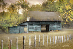 LD1148 - Old Teal Shed - 18x12