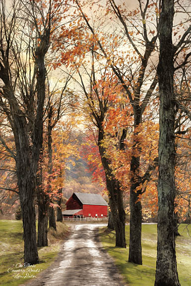 Lori Deiter LD1153 - On Those Country Roads - Road, Barn, Trees, Autumn, Farm from Penny Lane Publishing