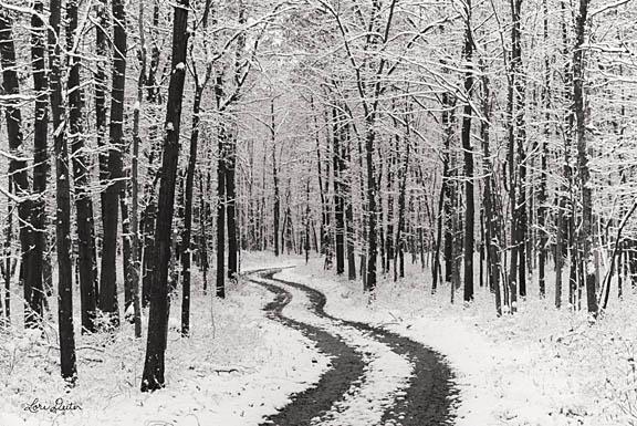 Lori Deiter LD1177 - Snowy Road - Snow, Road, Trees, Black & White from Penny Lane Publishing