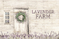 LD1203 - Lavender Farm - 18x12