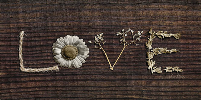Lori Deiter LD1212 - Love is All You Need - Love, Rustic, Daisy, Signs from Penny Lane Publishing