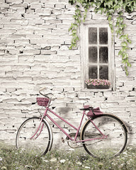 LD1263 - Ready for a Bike Ride - 12x16