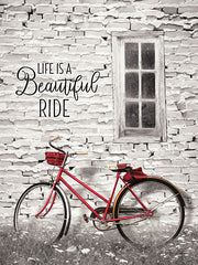 LD1264 - Life is a Beautiful Ride - 12x16