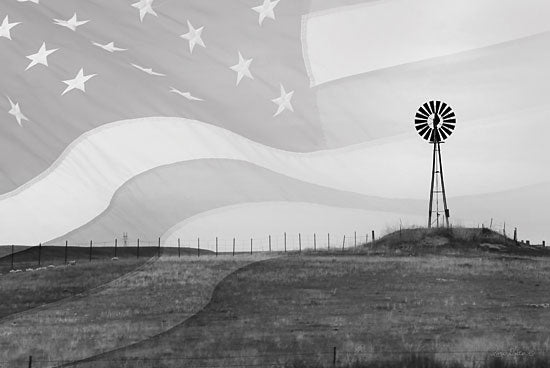 Lori Deiter LD1286 - Patriotic Windmill American Flag, Windmill, Field, USA, America from Penny Lane