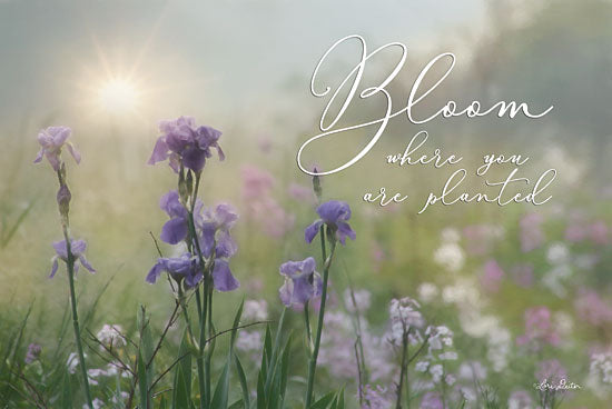 Lori Deiter LD1325 - Bloom Where You are Planted Bloom, Purple Flowers, Wildflowers from Penny Lane