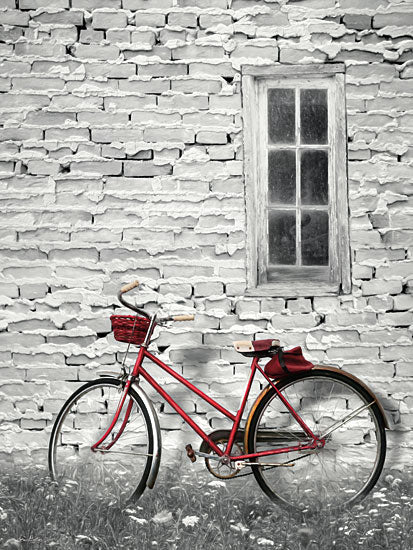 Lori Deiter LD1339 - Old Red Bike, Bicycle, Peeling Paint from Penny Lane