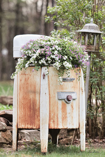 Lori Deiter LD1352 - Overflowing Antique, Washing Machine, Laundry, Flowers from Penny Lane