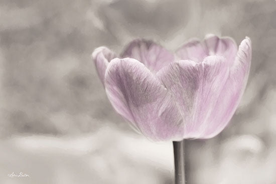Lori Deiter LD1354 - Violet Tulip Tulip, Violet, Purple, Flowers from Penny Lane