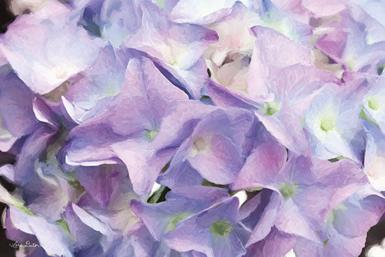 Lori Deiter LD1355 - Violet Hydrangeas Hydrangeas, Purple, Violet, Flowers from Penny Lane