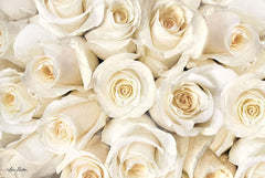 LD1357 - Top View - White Roses - 18x12