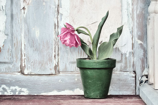 Lori Deiter LD1360 - Take a Bow Tulip Tulip, Flower, Flower Pot, Peeling Paint, Door from Penny Lane