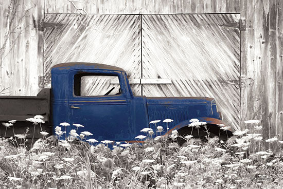 Lori Deiter LD1364 - Age is a Work of Art Truck, Barn Door, Wildflowers from Penny Lane