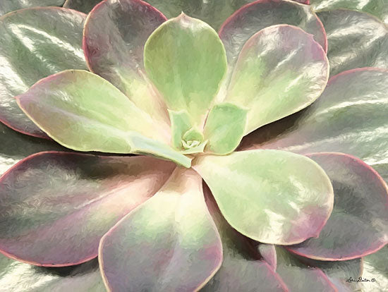 Lori Deiter LD1368 - Glowing Succulent I Succulents, Cactus, Flowers, Southwestern from Penny Lane