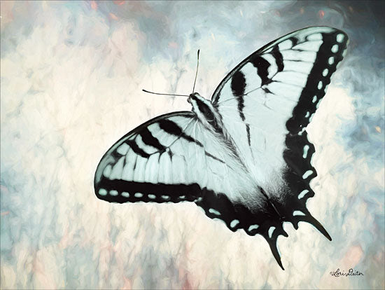 Lori Deiter LD1384 - Teal Butterfly II Butterfly, Teal from Penny Lane