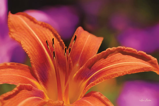Lori Deiter LD1389 - Floral Pop V Flower, Orange Flower, Bloom from Penny Lane