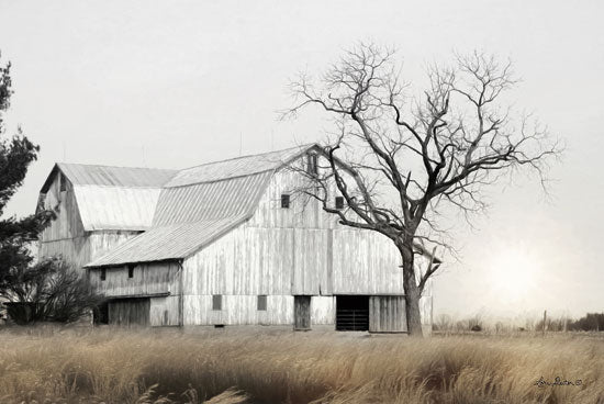 Lori Deiter LD1407 - Ohio Fields I Farm, Barn, Fields, Black & White, Landscape from Penny Lane