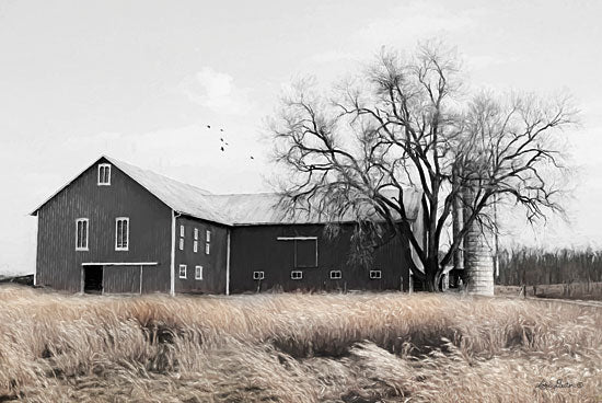 Lori Deiter LD1408 - Ohio Fields II Barn, Farm, Silo, Fields, Black & White, Ohio from Penny Lane