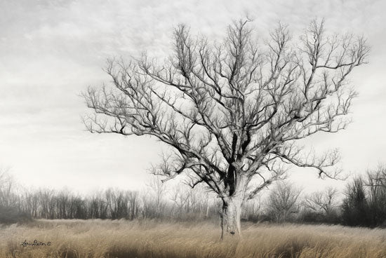Lori Deiter LD1411 - Earth & Sky Tree, Field, Countryside, Black & White from Penny Lane