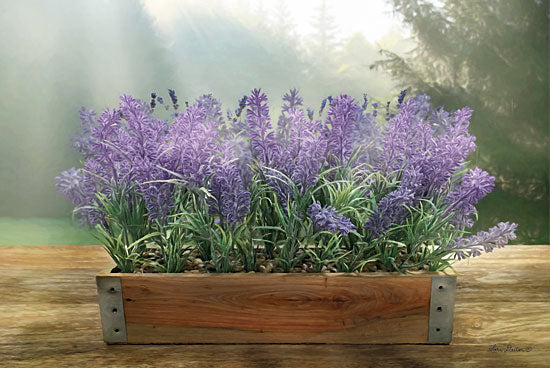 Lori Deiter LD1420 - Lavender Planter Lavender, Planter, Flowers, Herbs from Penny Lane