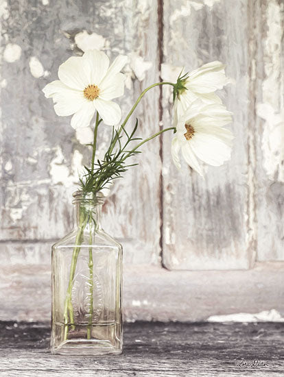 Lori Deiter LD1421 - Cosmos Summer Bloom Flowers, Cosmos, Blooms, Glass Bottle, White Flower from Penny Lane