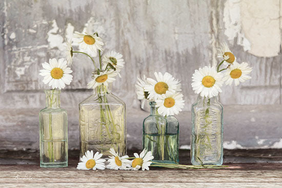 Lori Deiter LD1426 - He Loves Me Flowers, White, Daisies, Glass Bottles, Blooms from Penny Lane