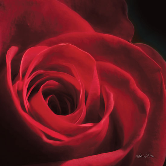 Lori Deiter LD1439 - The Red Rose I Rose, Red, Portrait, Closeup from Penny Lane