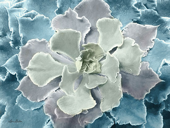 Lori Deiter LD1507 - Multi-color Succulent  - 16x12 Succulent, Bloom from Penny Lane