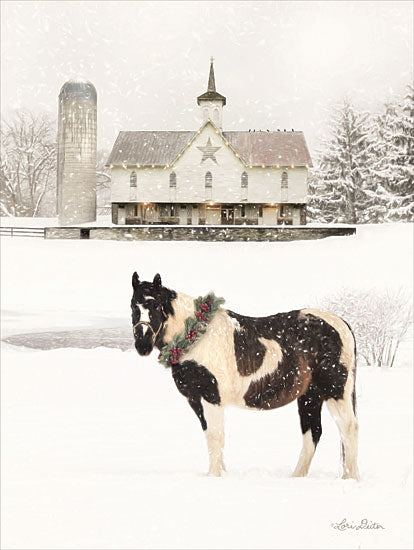 Lori Deiter LD1531 - Ready for Christmas Horse  - 12x16 Horse, Barn, Barn Star, Holidays, Farm, Winter, Snow, Photography from Penny Lane