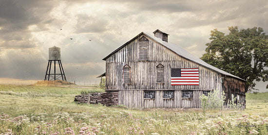 Lori Deiter LD1540 - Rural Virginia Barn - 18x9 Barn, Country, Farm, American Flag, Field from Penny Lane