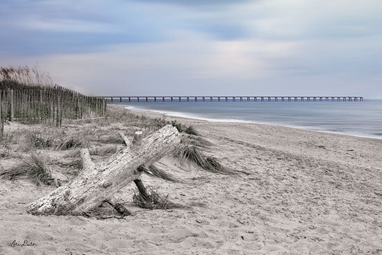 Lori Deiter LD1547 - Outer Banks Beach  - 18x12 Beach, Coast, Outer Banks, Driftwood, Pier, Sand from Penny Lane