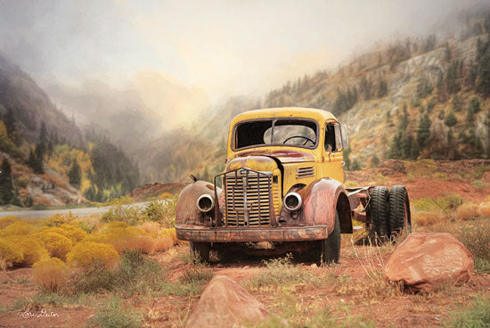 Lori Deiter LD1555 - Southwestern Relic - 18x12 Truck, Southwestern, Desert, Field, Photography, Rusty Truck from Penny Lane