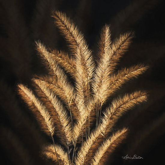 Lori Deiter LD1599 - Golden Grass II - 12x12 Gold Grass, Wheat, Portrait from Penny Lane