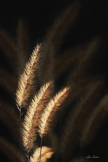 Lori Deiter LD1600 - Golden Grass III - 12x18 Gold Grass, Wheat, Portrait from Penny Lane
