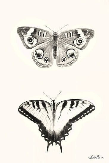 Lori Deiter LD1639 - LD1639 - Butterflies     - 12x18 Butterfly, Black & White from Penny Lane