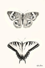 LD1639 - Butterflies     - 12x18