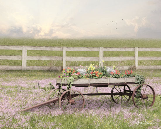 Lori Deiter LD1664 - LD1664 - Country Flower Wagon   - 16x12 Photography, Fence, Flowers, Flower Wagon, Country, Birds from Penny Lane