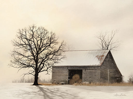 Lori Deiter LD1670 - LD1670 - Winter Shadows   - 16x12 Winter, Trees, Barn, Hay Bales, Country from Penny Lane