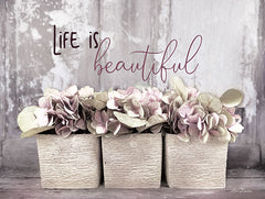 LD1682 - Life is Beautiful - 16x12