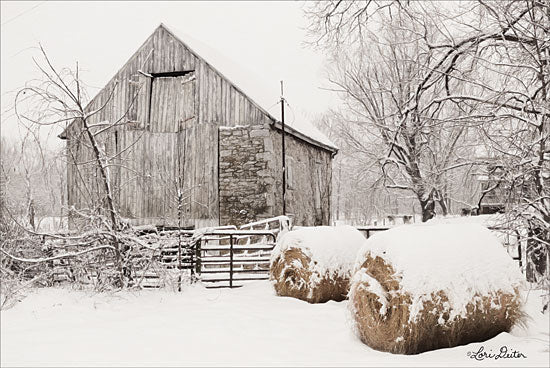 Lori Deiter LD1697 - Dinner Rolls - 18x12 Farm, Barn, Hay, Winter, Snow, Photography from Penny Lane