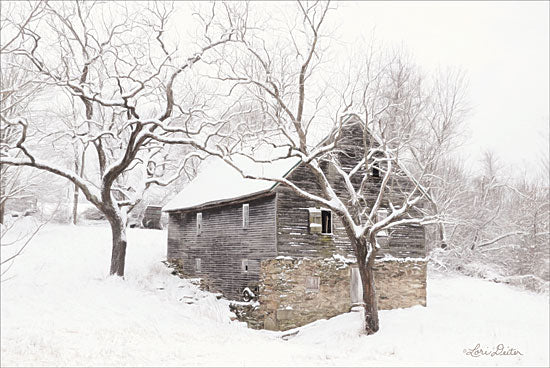 Lori Deiter LD1698 - Bare and Cold - 18x12 Farm, Barn, Winter, Snow, Photography from Penny Lane
