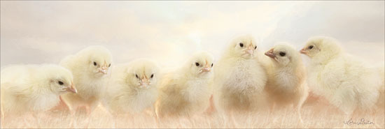 Lori Deiter LD1703GP - Spring Line Up Chicks, Chickens, Farm, Babies, Photography from Penny Lane